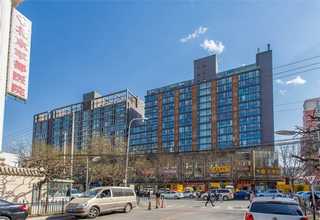 上海新旧木材回收